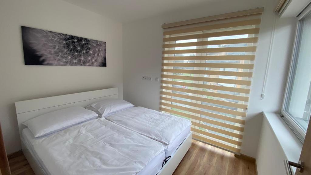 Apartmany - Male Lipno Черна-в-Пошумави Экстерьер фото