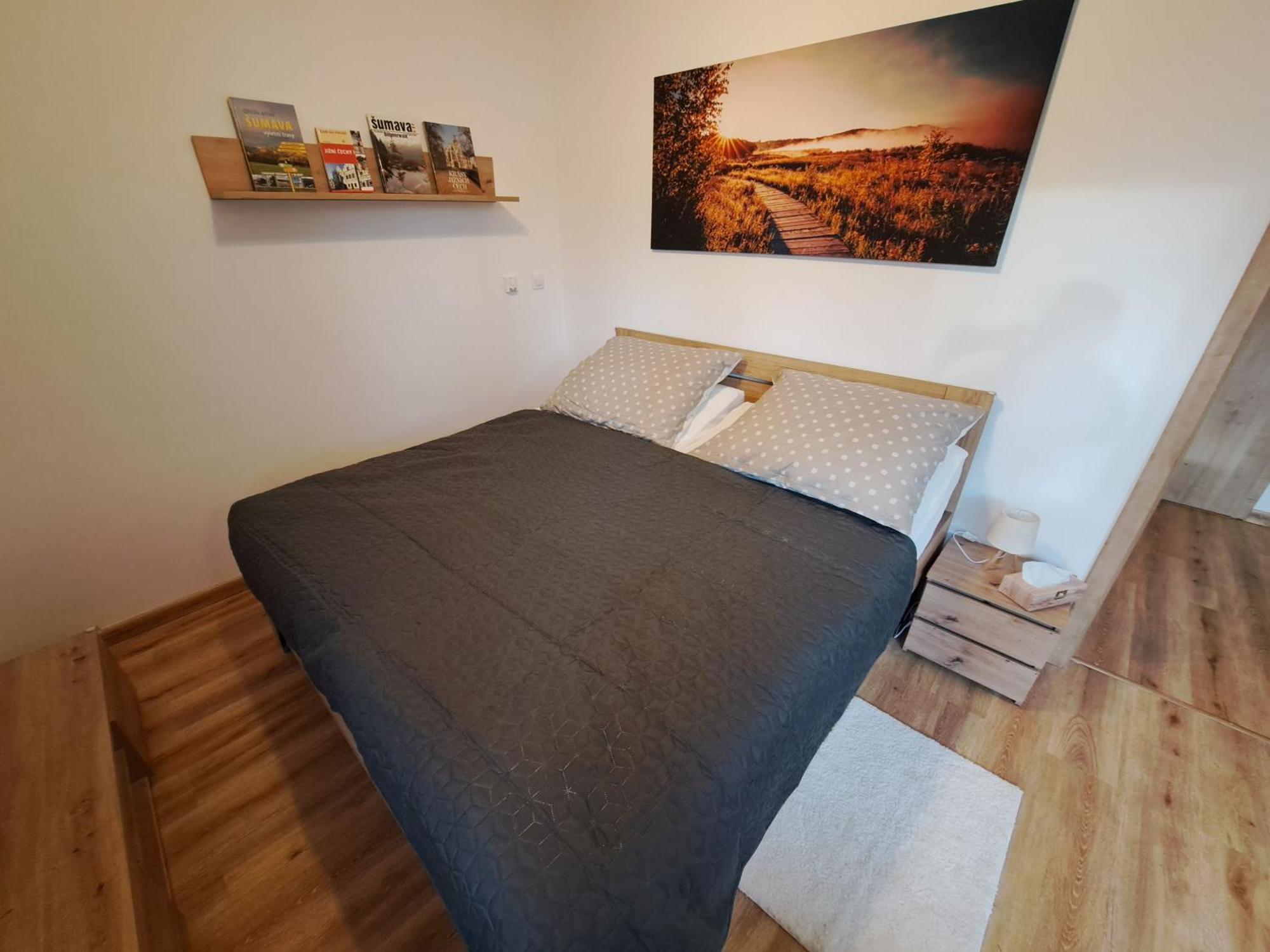 Apartmany - Male Lipno Черна-в-Пошумави Номер фото