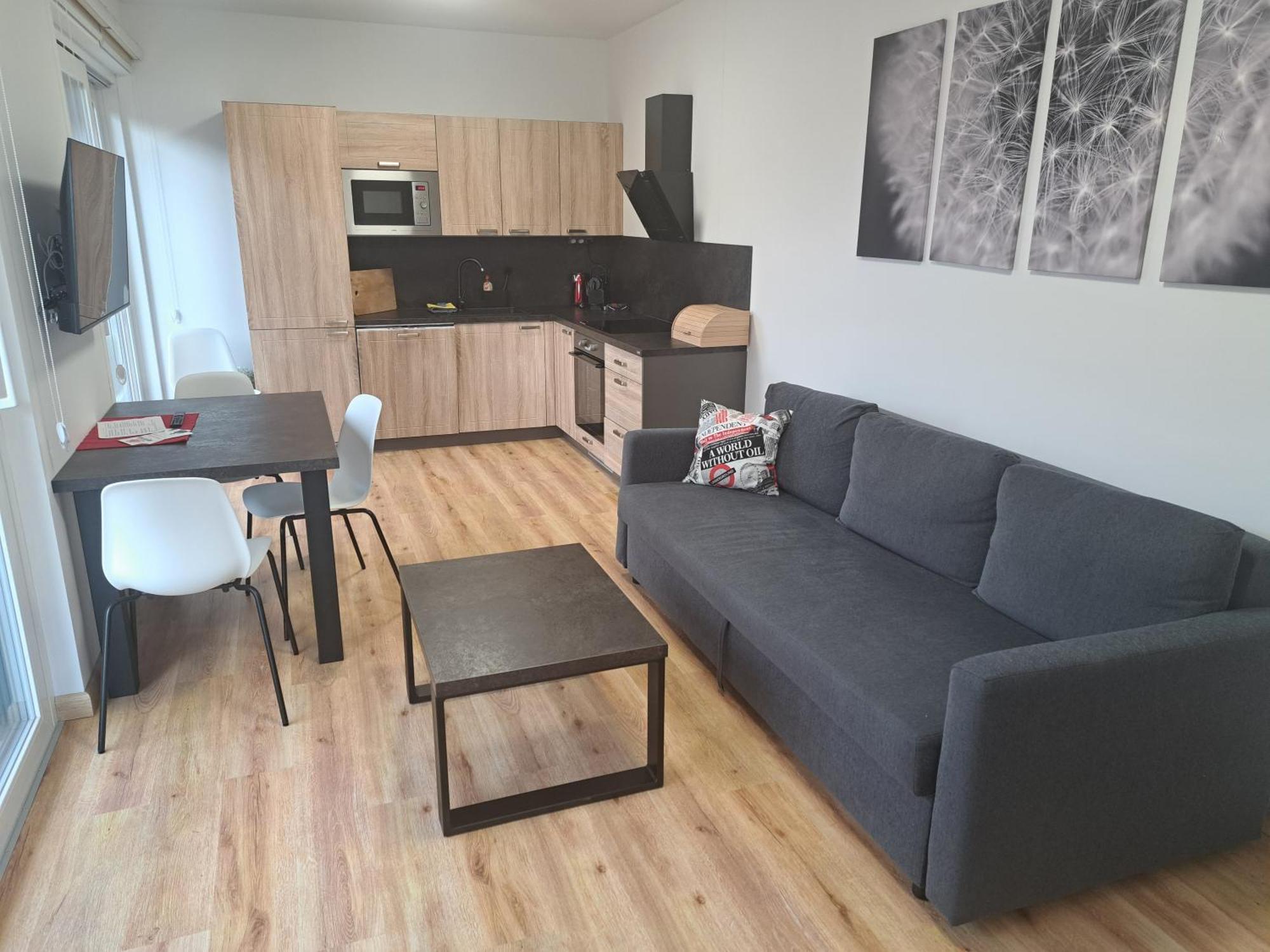 Apartmany - Male Lipno Черна-в-Пошумави Номер фото